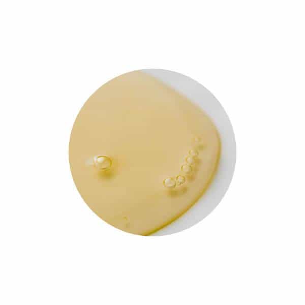 終極逆轉肌齡精華 - Derm - Mart